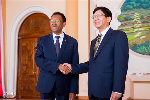 Vietnam wants to bolster traditional relations with Madagascar hinh anh 1