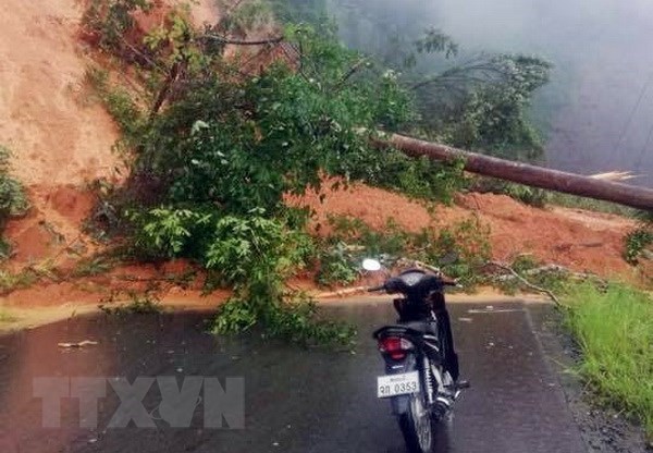 Landslide-hit Kon Tum – Laos route reopens to traffic hinh anh 1