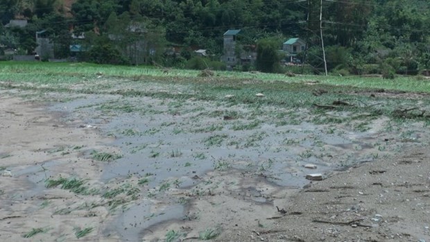 Severe torrential rains, floods hit Son La, killing four locals hinh anh 1