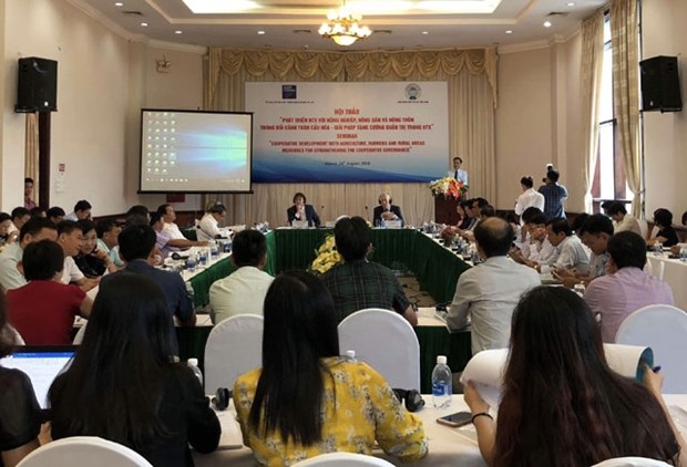 Netherlands shares experience in developing cooperatives hinh anh 1