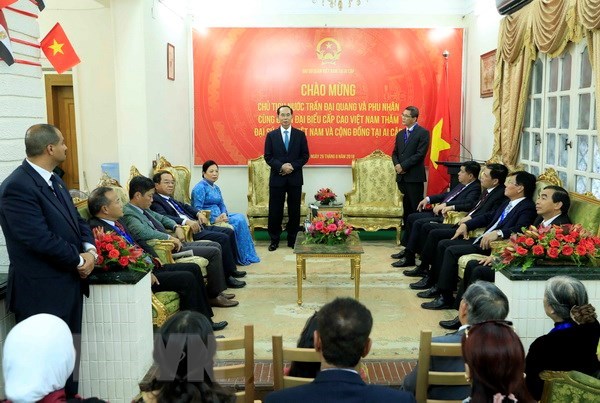 President Tran Dai Quang visits Vietnamese embassy in Egypt hinh anh 1
