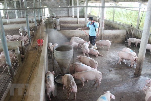 Online animal health information system announced hinh anh 1