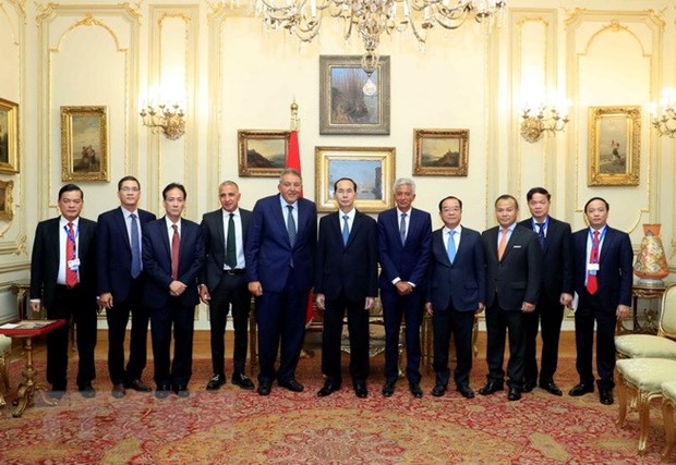 Vietnamese President meets FEDCOC leaders, concludes Egypt visit hinh anh 1