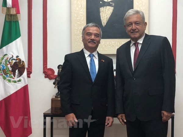 Mexican President-elect wishes to enhance ties with Vietnam hinh anh 1