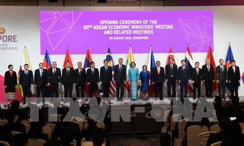 Vietnam seeks multilateral trade cooperation at AEM-50 hinh anh 1