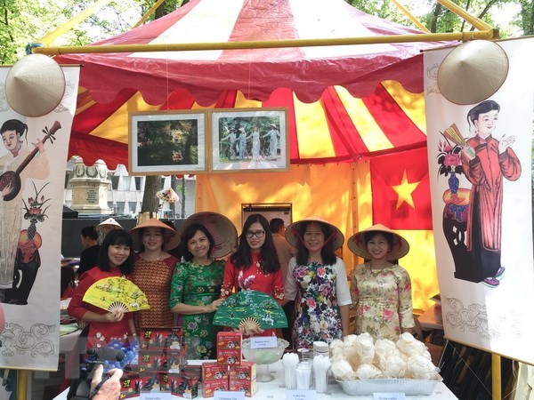 Vietnam participates in embassy festival in Netherlands hinh anh 1