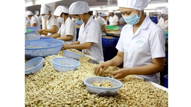 PM gives solutions to boost production, exports hinh anh 1