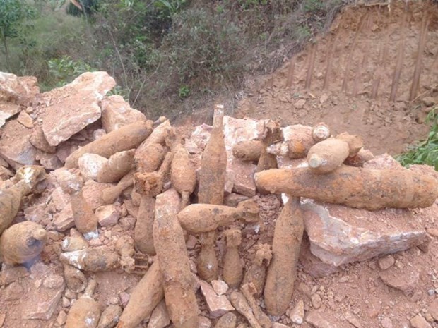 Vietnam, RoK team up in dealing with bomb, mine pollution hinh anh 1