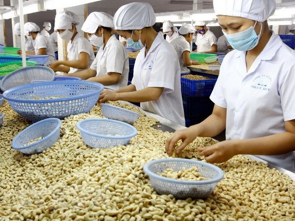Vietnam’s export to Thailand up 21 percent hinh anh 1