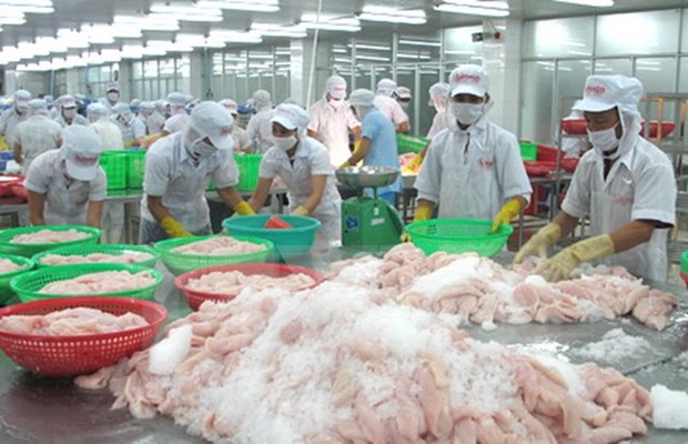 Modern processing, preserving technology ensures food safety: experts hinh anh 1