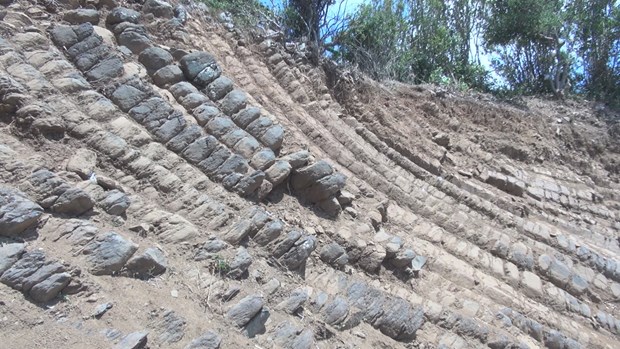 New rock formation found in Phu Yen province hinh anh 2