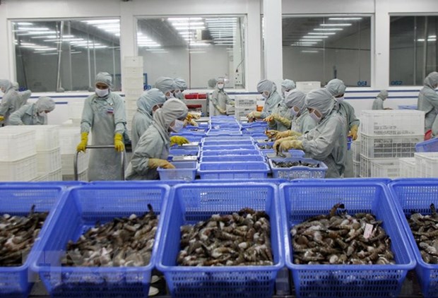 Shrimp by-products called ‘gold mine’ for processing industry hinh anh 1