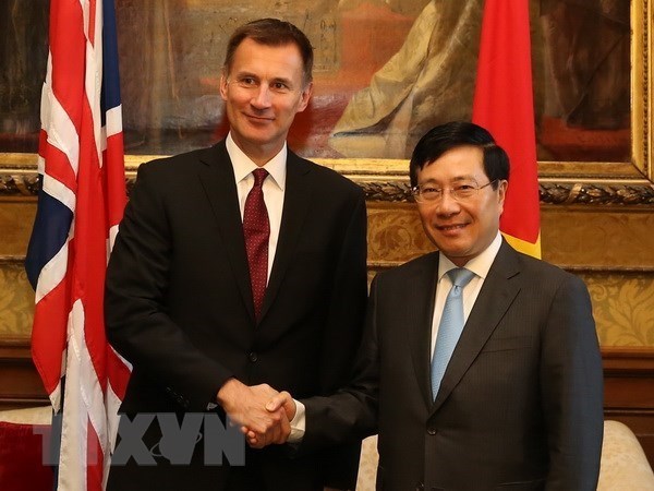 Vietnam, UK agree to consult about issues of shared concern hinh anh 1