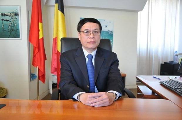 Vietnam boosts cooperative ties with Belgium, EU: diplomat hinh anh 1