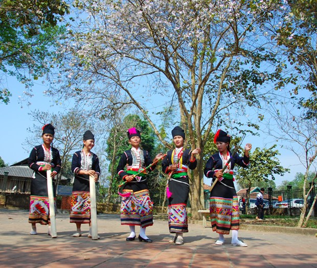 Northwestern culture to be featured at 6th Ban Flower Festival hinh anh 1
