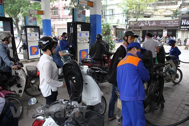 Petrol prices down slightly, those of oil unchanged hinh anh 1