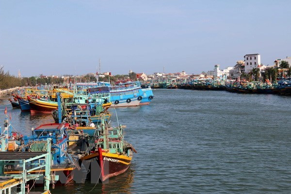 Kien Giang seeks to monitor fishing vessels hinh anh 1