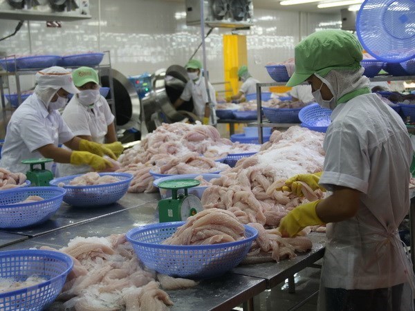 Global market bodes well for Vietnamese tra fish exports hinh anh 1