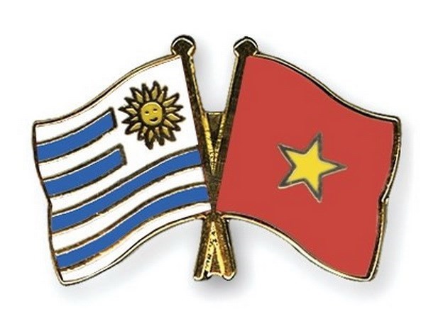 Ceremony marks Vietnam-Uruguay 25-year ties hinh anh 1