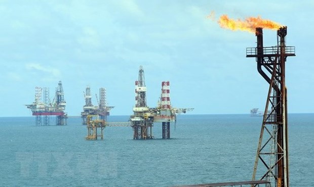 Petroleum law to be revised to facilitate sustainable growth of oil sector hinh anh 1