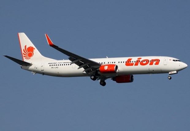 Indonesian Lion Air flight crashes into sea hinh anh 1