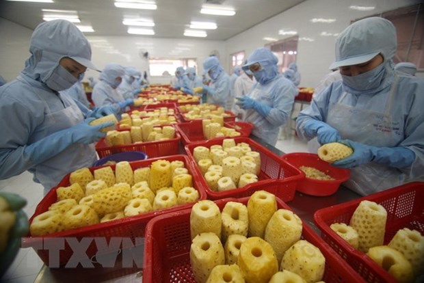 Experts: Government’s 2019 export goals achievable hinh anh 1