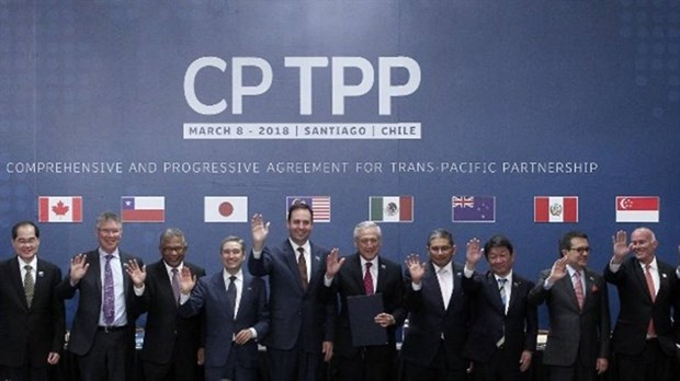 CPTPP to come into force in late 2018 hinh anh 1