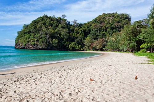 Thailand: Koh Tarutao Islands become plastic-free hinh anh 1