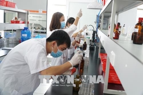 VietnamWorks: Recruitment demand expected to rise next year hinh anh 1