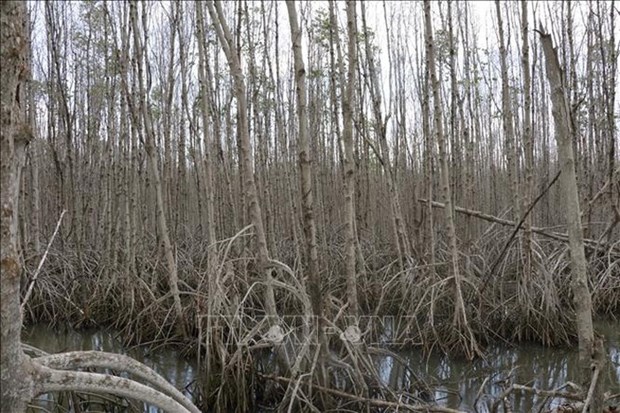 Experts raise concerns over draining of wetlands hinh anh 1
