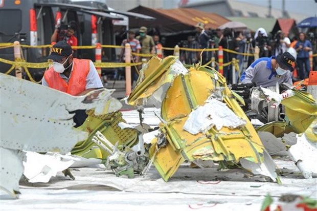 Indonesia stops search for Lion Air crash victims hinh anh 1