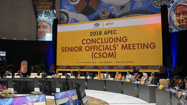 Vietnam takes part in 2018 APEC CSOM in Papua New Guinea hinh anh 1