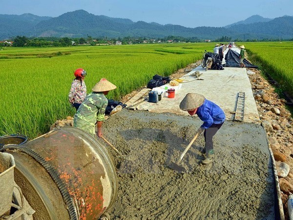 Agriculture, farmers, rural areas to come under spotlight hinh anh 1