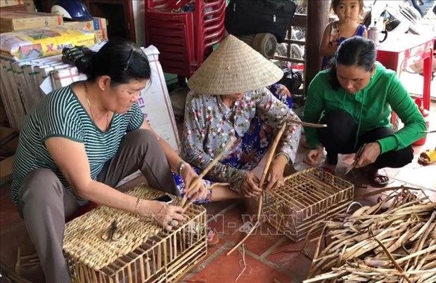Can Tho city plans vocational training for 30,000 people hinh anh 1