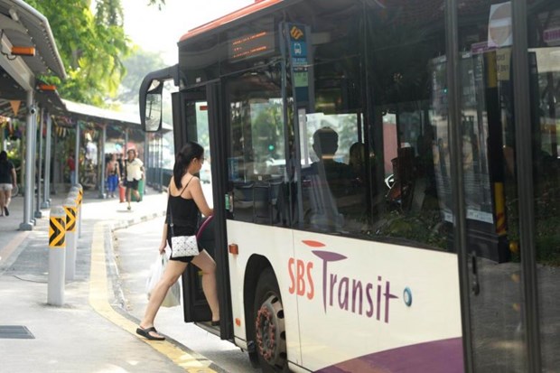 Singapore pilots on-demand public bus service hinh anh 1