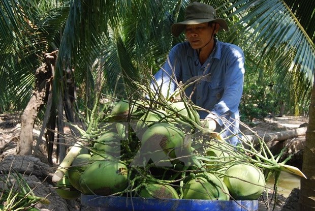 Ben Tre eyes 20 percent growth in export revenue hinh anh 1