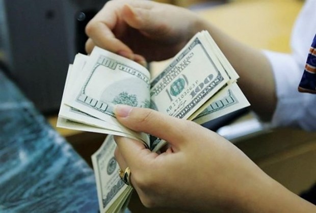 Vietnam set to be among top ten remittance receivers hinh anh 1