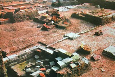 Workshop spotlights history of excavation of Thang Long Citadel hinh anh 1