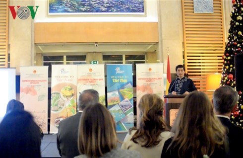 Embassy hosts Vietnamese Cultural Days in Turkey hinh anh 1