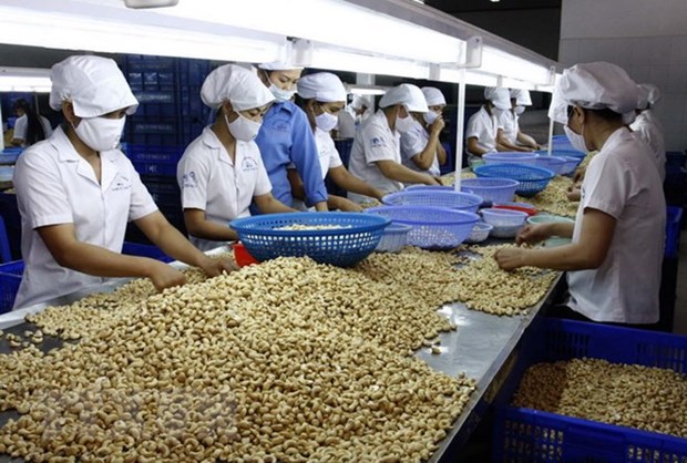 Binh Phuoc runs trade surplus of nearly 1 bln USD in 2018 hinh anh 1