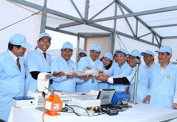 PM visits high-tech tra fish farm in An Giang hinh anh 1