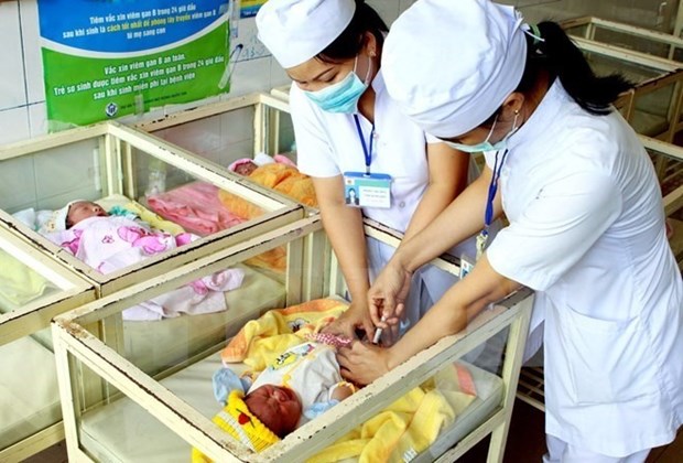 HCM City deals with low fertility rate hinh anh 1