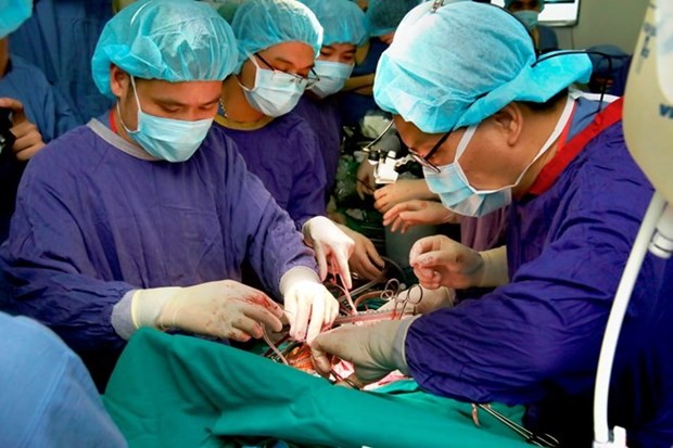 Vietnamese doctors succeed in first transplant of two lungs hinh anh 1
