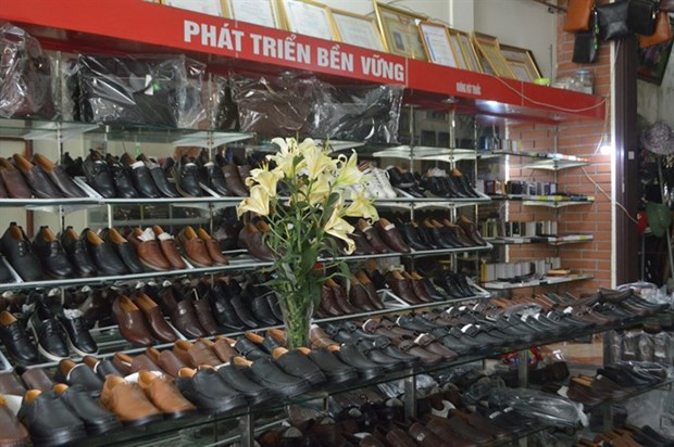 Leather, footwear sector needs supporting industry hinh anh 1