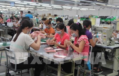 Long An maintains top position in FDI attraction in Mekong Delta hinh anh 1
