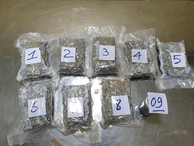2.3kg of marijuana seized at Tan Son Nhat Airport hinh anh 1