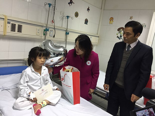 Tet gifts offered to impoverished child patients hinh anh 1
