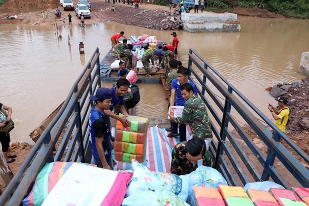 Rice seedlings to be sent to Laos after disasters hinh anh 1