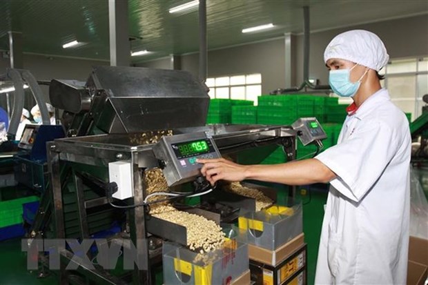 CPTPP brings opportunities, challenges to Vietnam’s agriculture hinh anh 1