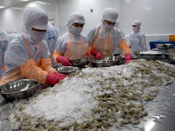 Shrimp exports expected to rake in 4 billion USD in 2019 hinh anh 1